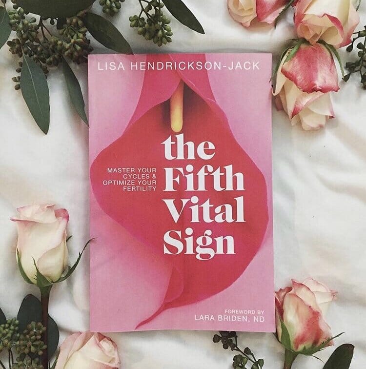 the fifth vital sign by lisa hendrickson-jack