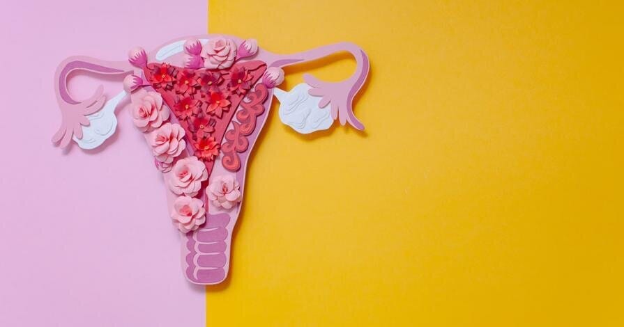 artistic paper cutting of the female reproductive system