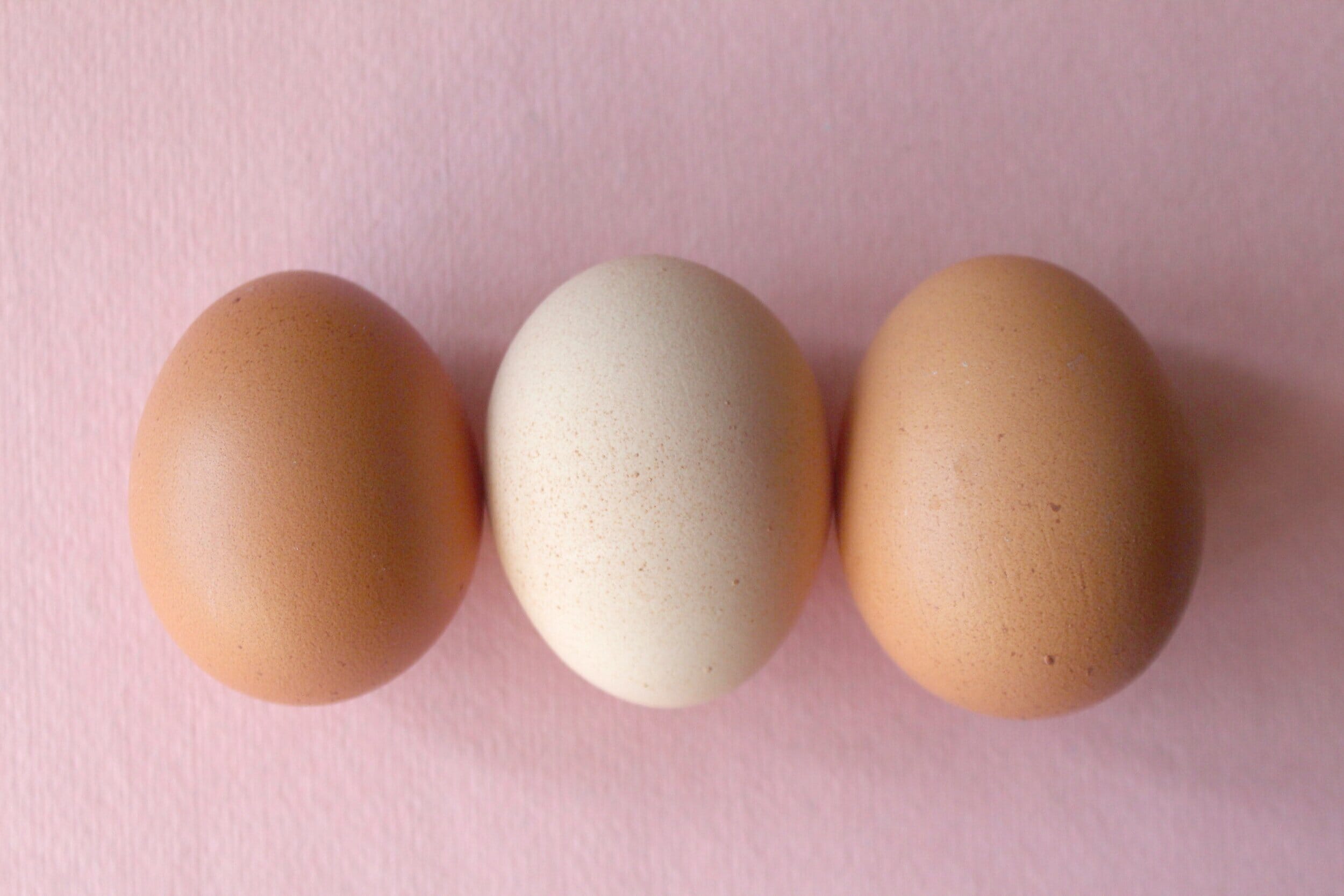 three eggs, two brown and one white