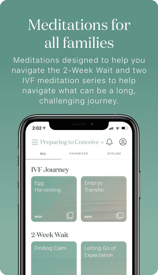 graphic of the expectful meditation app